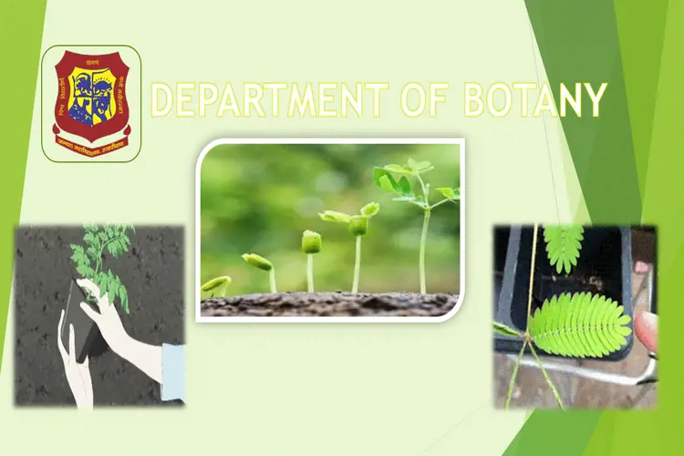 BOTANY