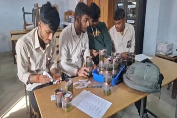 Departmental lab