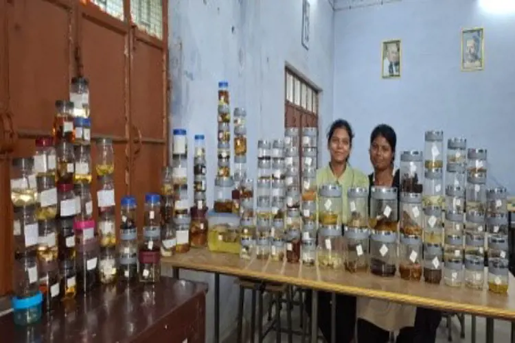 Collected Mushroom Species  of Hazaribag