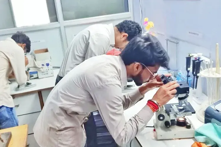 Practical Class
